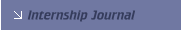 Internship Journal