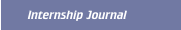 Internship Journal